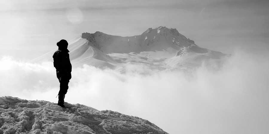 wordpress psychologist theme